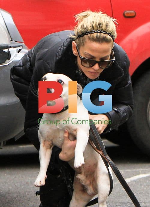 Singer Sarah Harding Takes Dogs to Vet