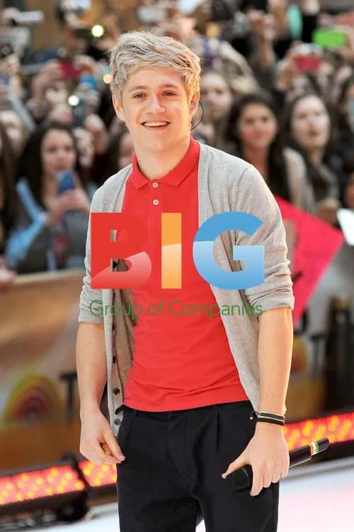 One Direction Performs on Today Show