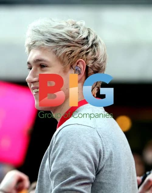 One Direction at Today Show Concert