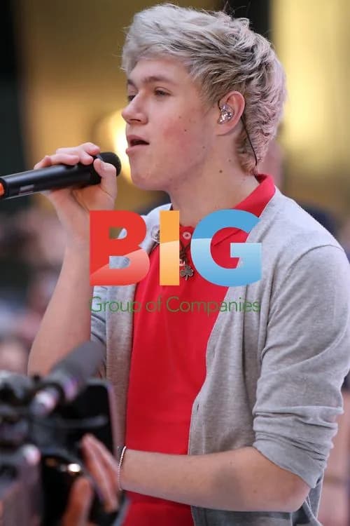 One Direction Performs at Today Show