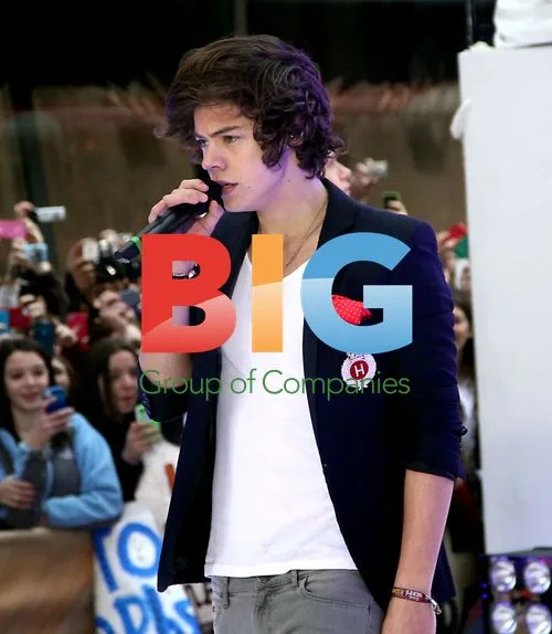 One Direction Performs at Today Show