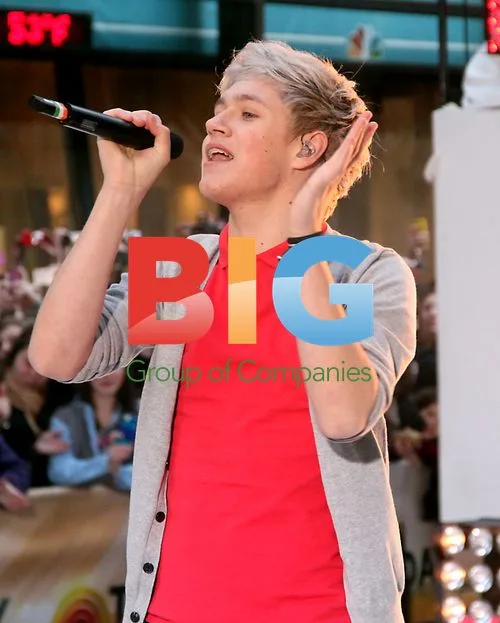 One Direction Performs at Today Show