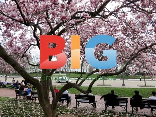 Cherry Blossoms Bloom Early in DC