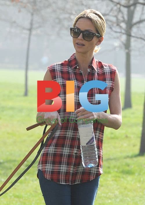 Sarah Harding Walking Dogs in London