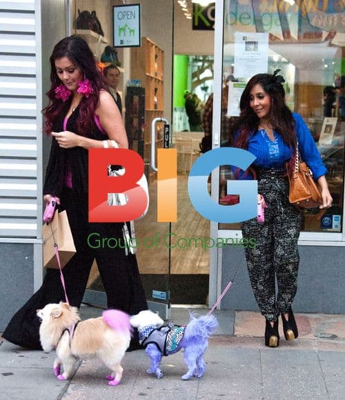 Snooki and JWoww Film New Show