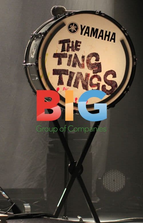 The Ting Tings Performing in Vancouver