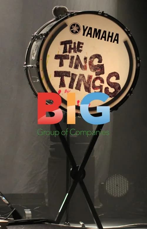 The Ting Tings Performing in Vancouver