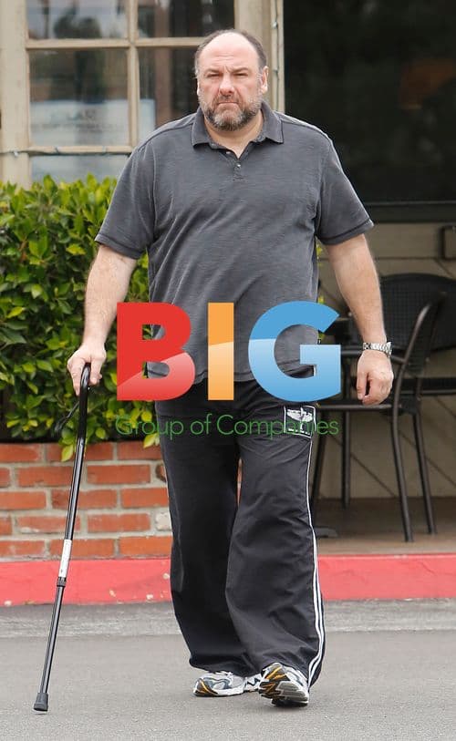 James Gandolfini Injured, Seen With Cane