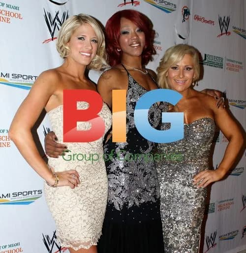 Kelly Kelly, Alicia Fox and Natalya at Wrestlemania