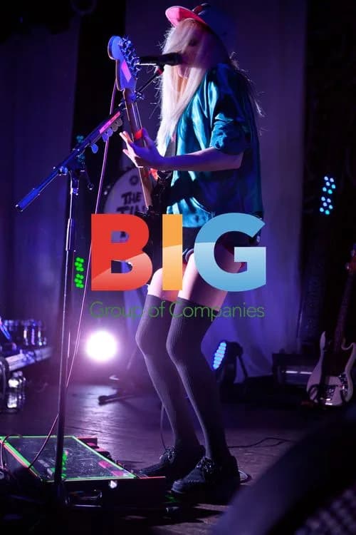 The Ting Tings Live in Detroit