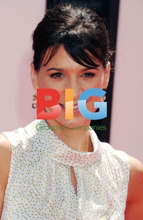 Perrey Reeves at 'The Three Stooges' Premiere