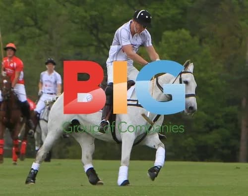 Prince William and Prince Harry Play Polo