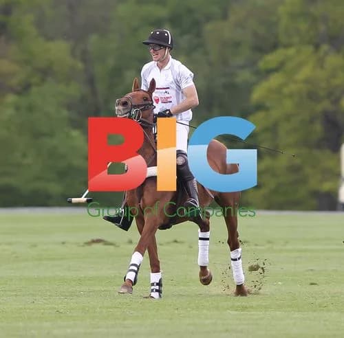 Prince William and Prince Harry Playing Polo