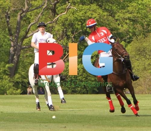 Prince William and Harry Play Polo