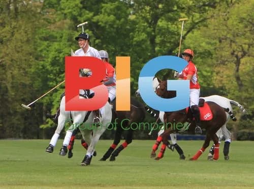 Prince William and Prince Harry Play Polo