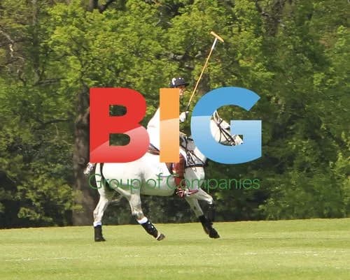 Prince William and Prince Harry Play Polo