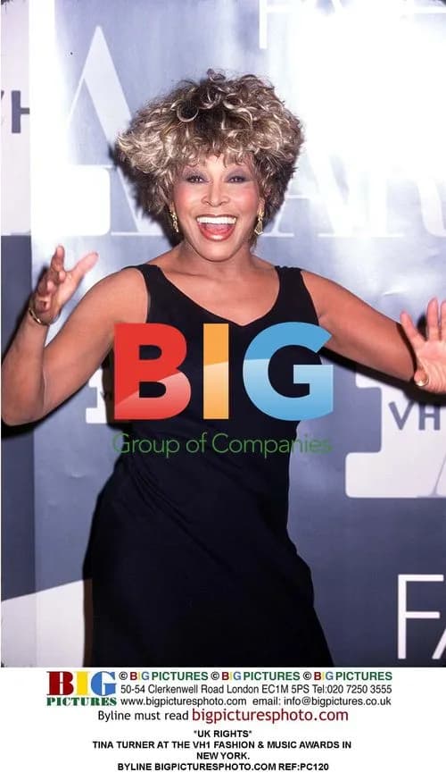 Tina Turner at VH1 Fashion & Music Awards