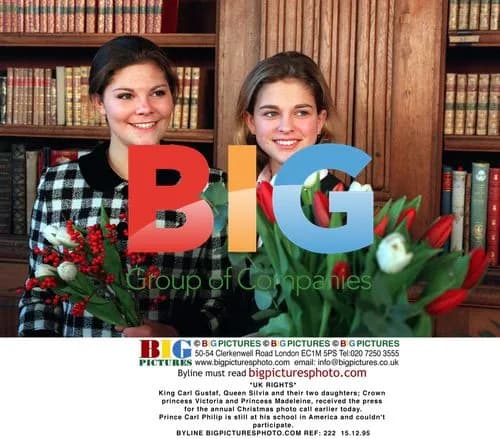 Swedish Royal Family Christmas Photo Call