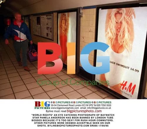 Pamela Anderson's 'Too Sexy' Tube Poster