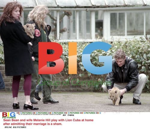 Sean Bean and wife Melanie Hill play with lion cubs