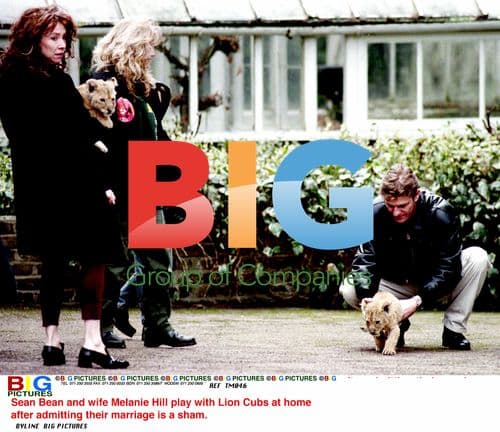 Sean Bean and Wife Melanie Hill with Lion Cubs