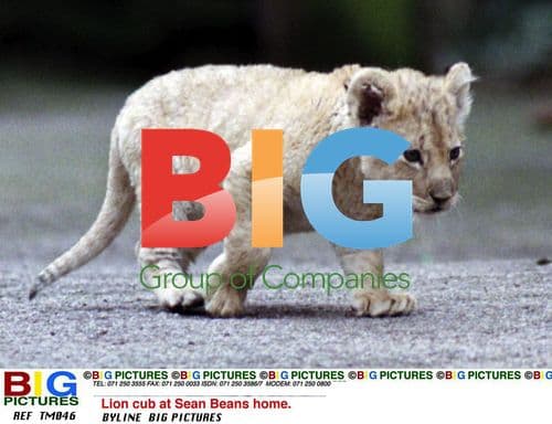 Sean Bean with Lion Cub