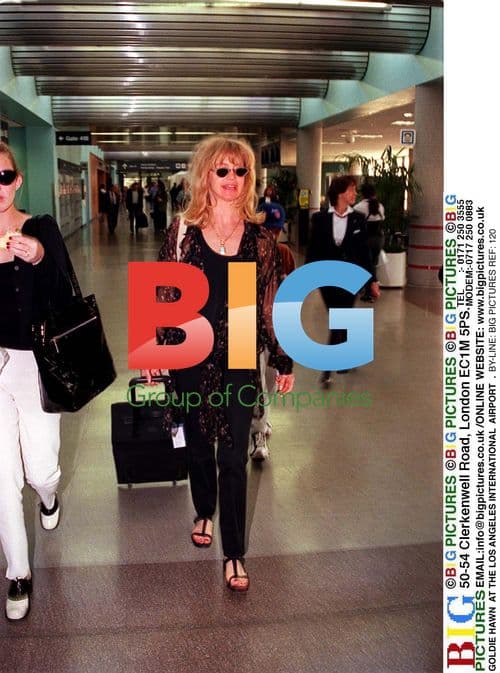 Goldie Hawn at Los Angeles Airport