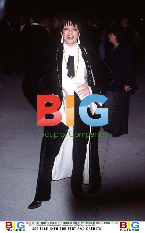 Liza Minelli at Vanity Fair Oscars Party