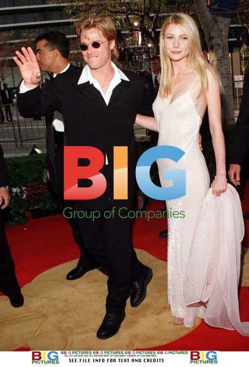 Brad Pitt and Gwyneth Paltrow at 68th Oscars