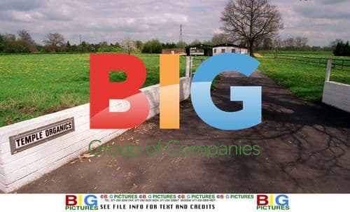 Jack Temple, Diana's Secret Guru