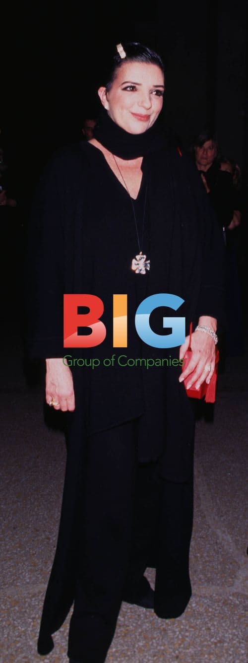 Liza Minnelli at Cartier Exhibition Gala