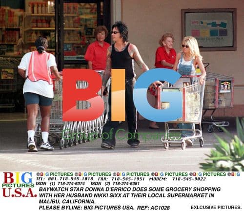 Donna D'Errico and Nikki Sixx go grocery shopping in Malibu
