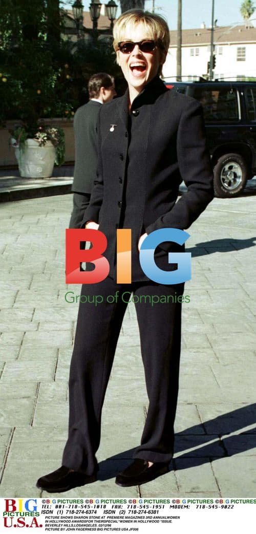 Sharon Stone at Women In Hollywood Awards