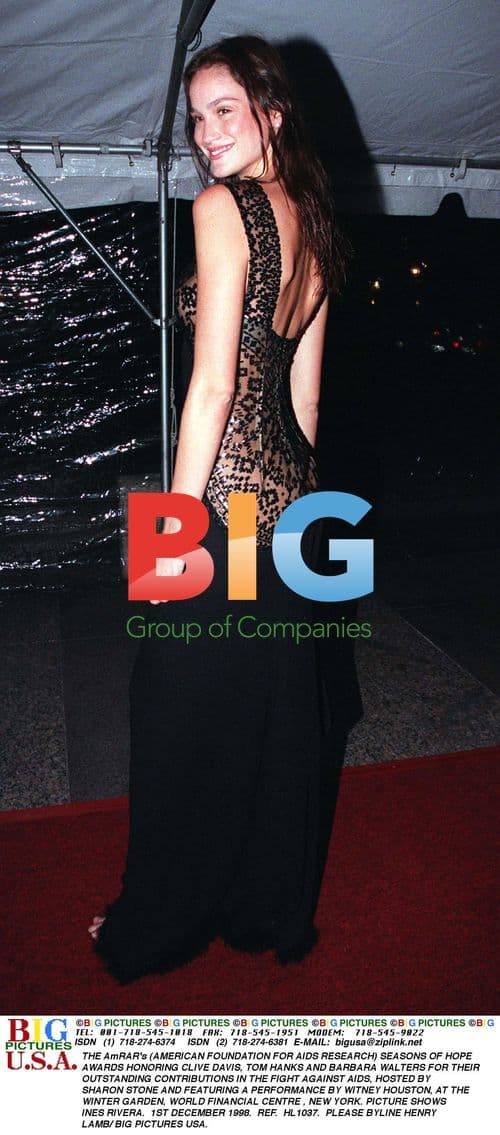 Ines Rivera at AmFAR Seasons of Hope Awards