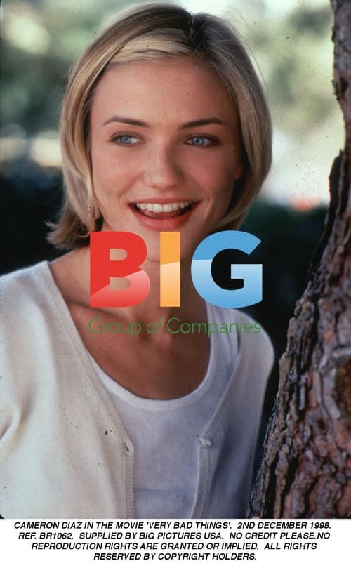 Cameron Diaz in 'Very Bad Things'