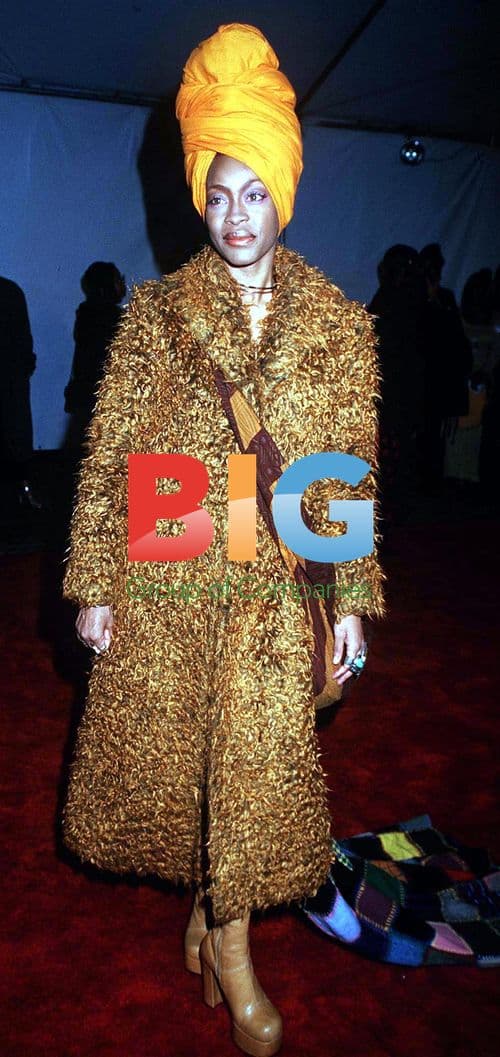 Erykah Badu at NAACP Image Awards