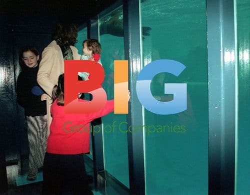 Michael Hutchence & Paula Yates Daughter's Aquarium Visit