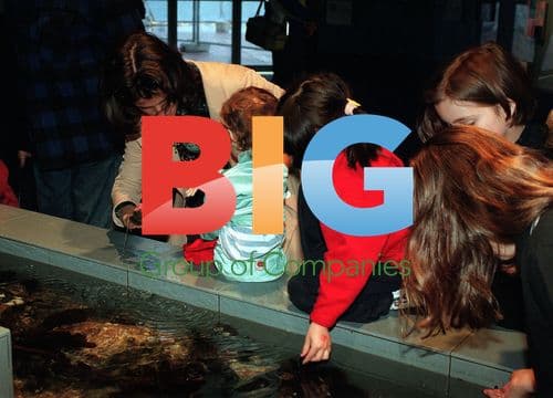 MICHAEL HUTCHENCE'S DAUGHTER ENJOYS AQUARIUM VISIT