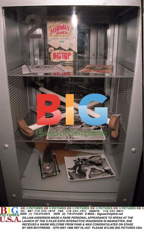 Gillian Anderson at X-Files Expo Launch