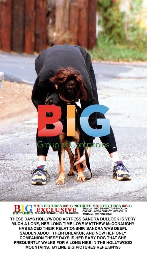 Sandra Bullock Walks Dog in Hollywood
