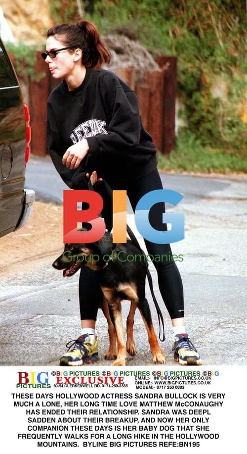 Sandra Bullock Hikes with Dog After Breakup