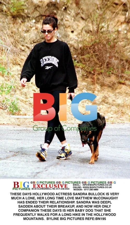 Sandra Bullock Walks Dog in Hollywood Hills