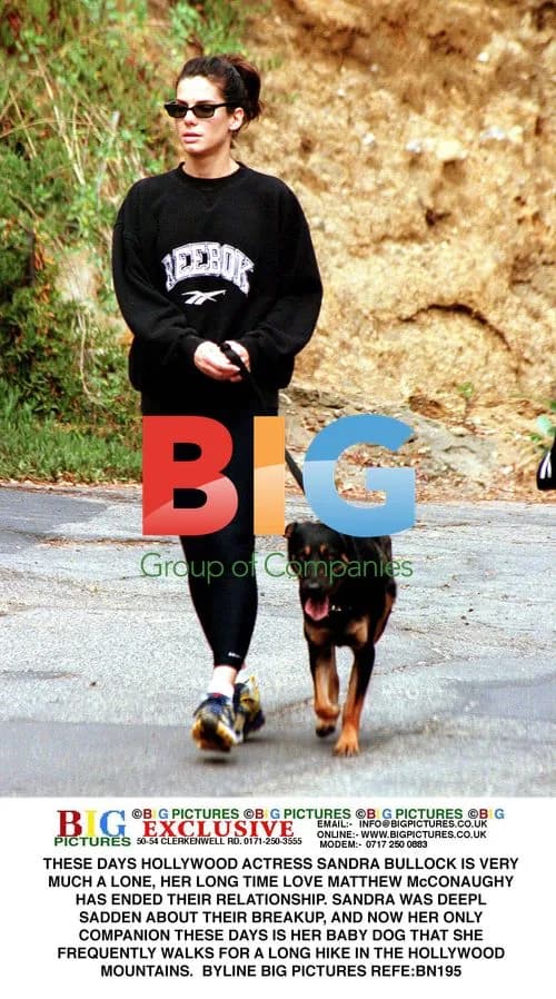 Sandra Bullock Walks Dog in Hollywood