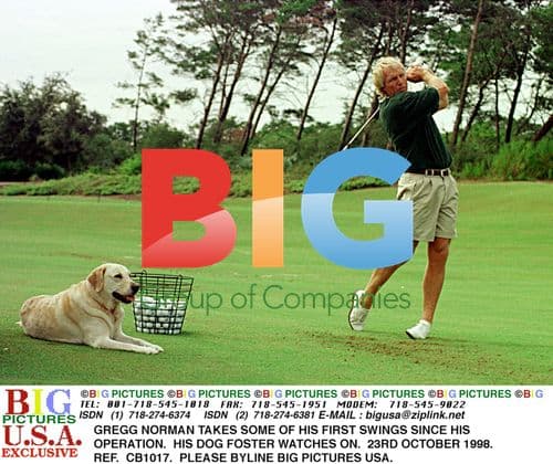 Gregg Norman's First Swings Post-Operation