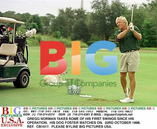 Gregg Norman Returns to Golf After Surgery