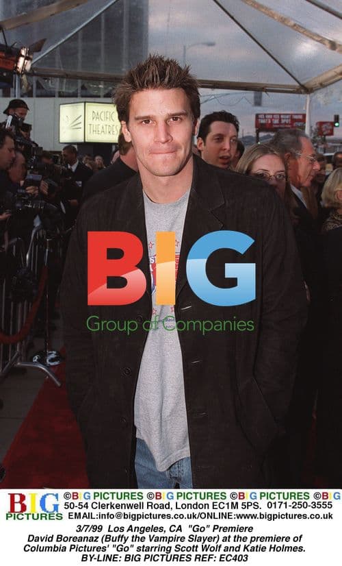 Go Premiere with David Boreanaz