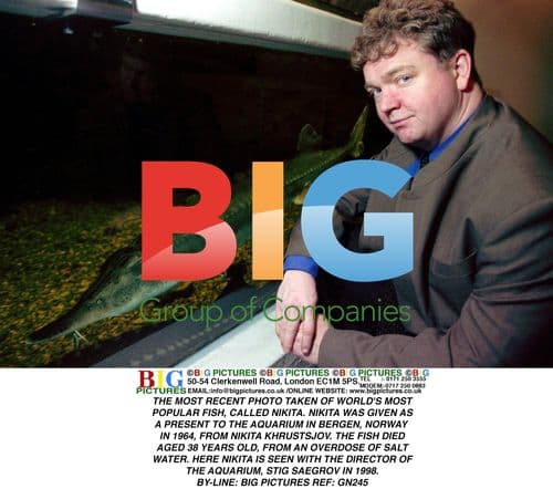 Nikita the Famous Fish