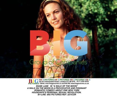 DIANE LANE IN "A WALK OF THE MOON"