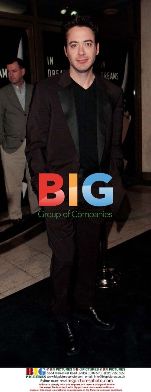 Robert Downey Jr. at "In Dreams" premiere