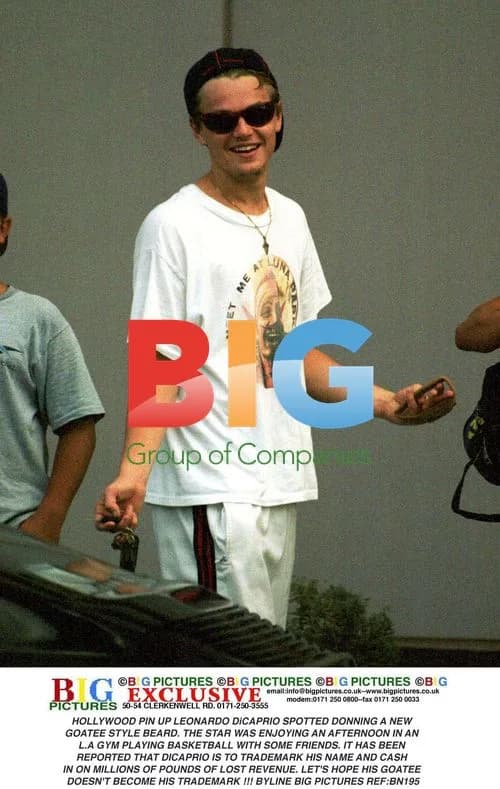 Leonardo DiCaprio Spotted with Goatee